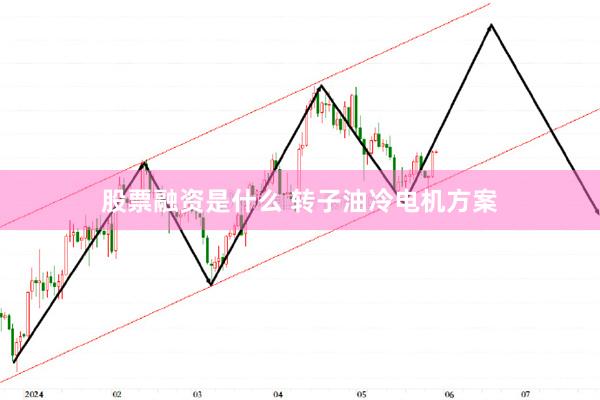 股票融资是什么 转子油冷电机方案