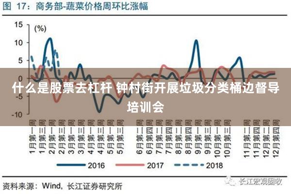 什么是股票去杠杆 钟村街开展垃圾分类桶边督导培训会