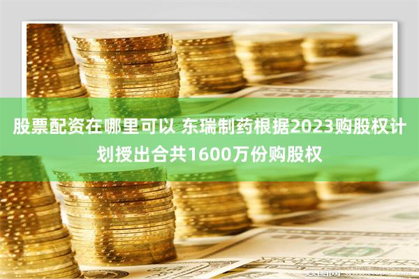 股票配资在哪里可以 东瑞制药根据2023购股权计划授出合共1600万份购股权