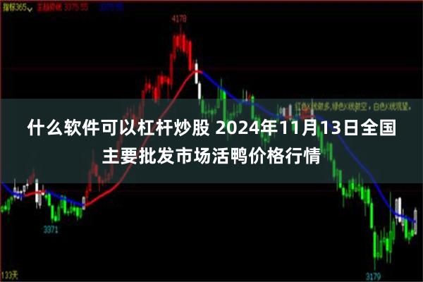 什么软件可以杠杆炒股 2024年11月13日全国主要批发市场活鸭价格行情