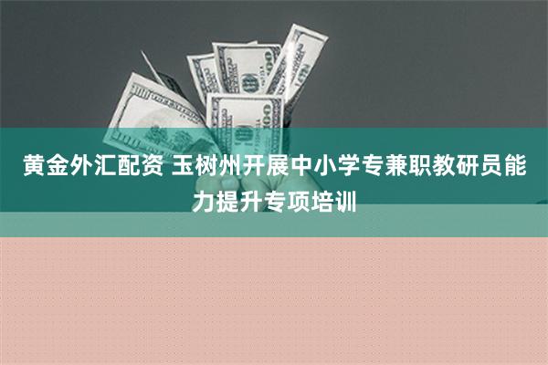 黄金外汇配资 玉树州开展中小学专兼职教研员能力提升专项培训