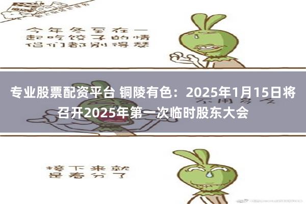 专业股票配资平台 铜陵有色：2025年1月15日将召开2025年第一次临时股东大会