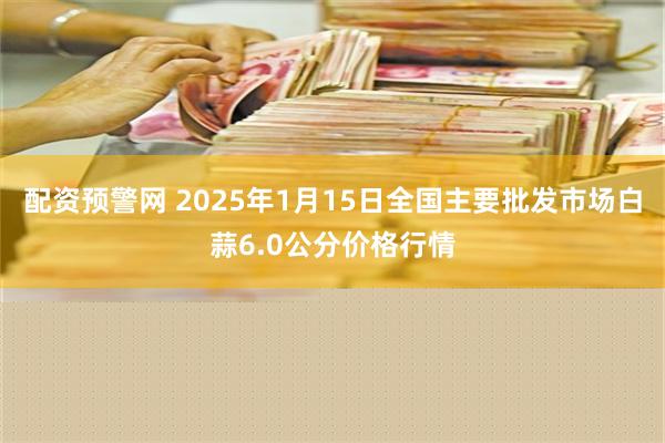 配资预警网 2025年1月15日全国主要批发市场白蒜6.0公分价格行情