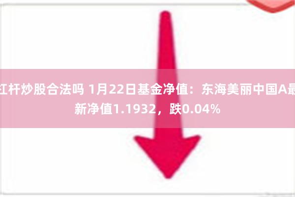 杠杆炒股合法吗 1月22日基金净值：东海美丽中国A最新净值1.1932，跌0.04%