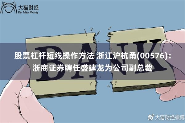 股票杠杆短线操作方法 浙江沪杭甬(00576)：浙商证券聘任盛建龙为公司副总裁