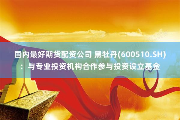 国内最好期货配资公司 黑牡丹(600510.SH)：与专业投资机构合作参与投资设立基金